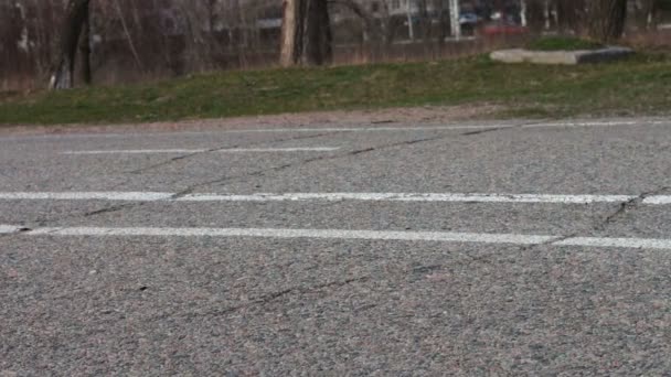 Pareja con un perrito blanco con una correa para caminar pies en el pavimento . — Vídeo de stock