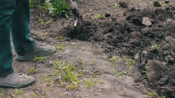 L'homme dans le jardin avec une pelle creusant un trou dans le sol 