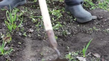 Bir kadın bahçede çim paspas çapa ile yerden kaldırma çalışıyor