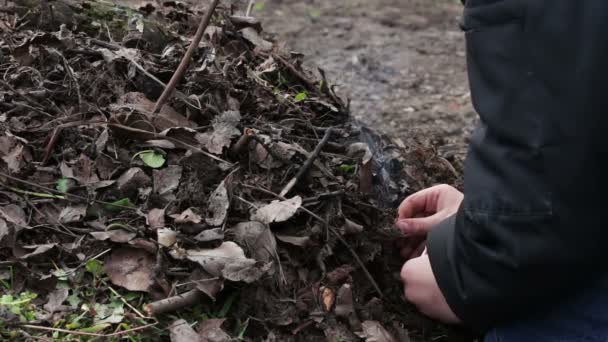 Οι έφηβοι κάνουν μια φωτιά ξηρό παλιά φύλλα, ρύπανσης του περιβάλλοντος — Αρχείο Βίντεο