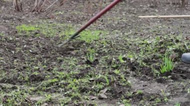 Temiz kuru eski yapraklarını bahçede kadın ve bir çocuk