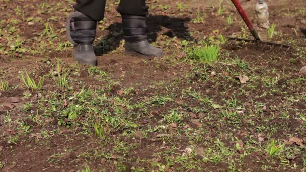 Femme et un enfant nettoient les vieilles feuilles sèches dans le jardin — Video