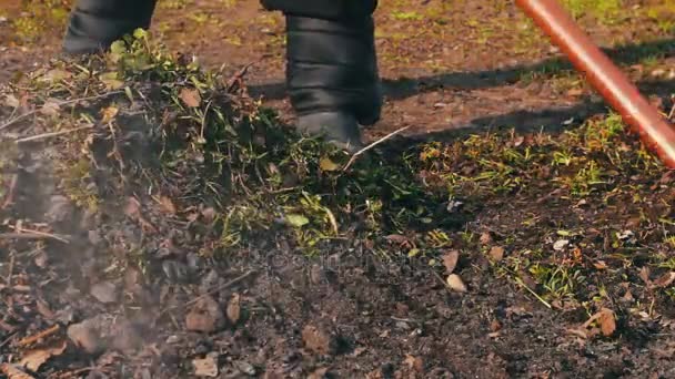 Kvinna rensar trädgården från senaste år torra löv med kratta — Stockvideo