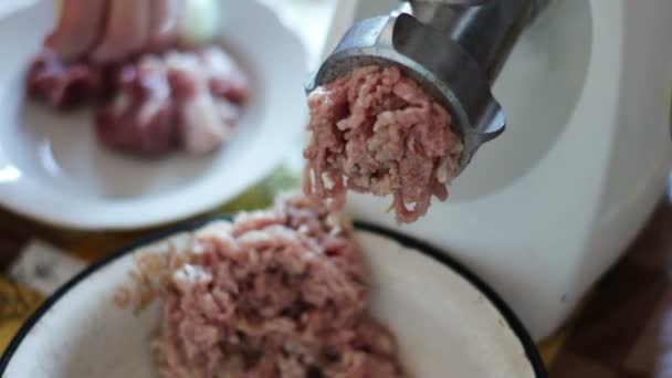 Приготовление мяса forcemeat с помощью мясорубки — стоковое видео