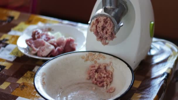 Cocinar el picadillo de carne utilizando la picadora de carne — Vídeos de Stock