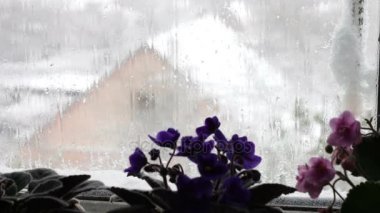 Hava sıcaklığını gösteren sokak termometre