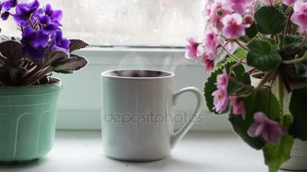 Taza de té de café bebida caliente en el alféizar de la ventana junto a una hermosa flor casera en una olla — Vídeos de Stock