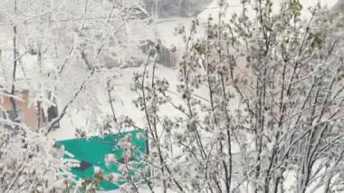 Baharda kar. Karla kaplı bahar sokak yeşil ağaçlar kar altında bırakır