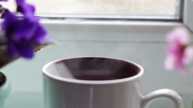 Beyaz fincan kahve çay sıcak içecek pencere pervazına güzel bir eve çiçek bir tencerede yanında Tarih