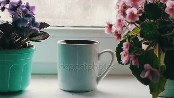 Boiling water is poured in cup.cup of coffee tea hot drink on window sill next to a beautiful home flower in a pot — Stock Video