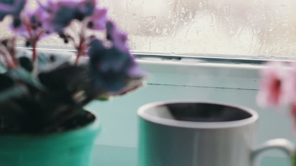 Coupe avec une boisson chaude avec une vapeur qui se dresse sur un rebord de fenêtre entouré de fleurs en fleurs vue rapprochée — Video