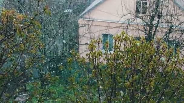 Neige au printemps.Blizzard au printemps. Alerte bouclier, changement climatique 