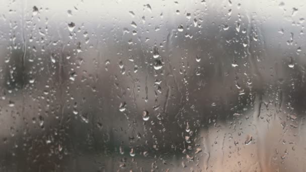 Весной на стекло падают капли дождя — стоковое видео