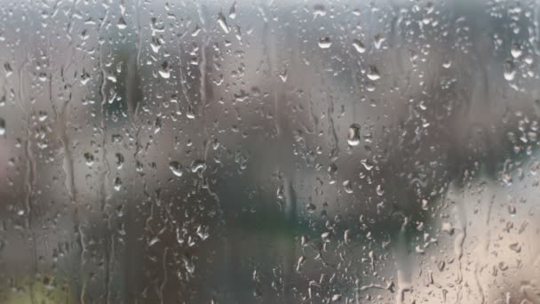 Hujan turun pada jendela rumah . — Stok Video