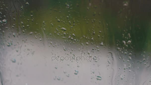 Rain drops on the glass in the spring afternoon, in the background passing cars — Stock Video