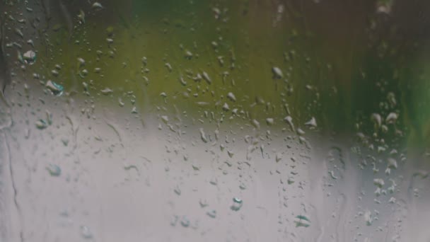 La pluie tombe sur le verre dans l'après-midi de printemps, en arrière-plan des voitures qui passent — Video