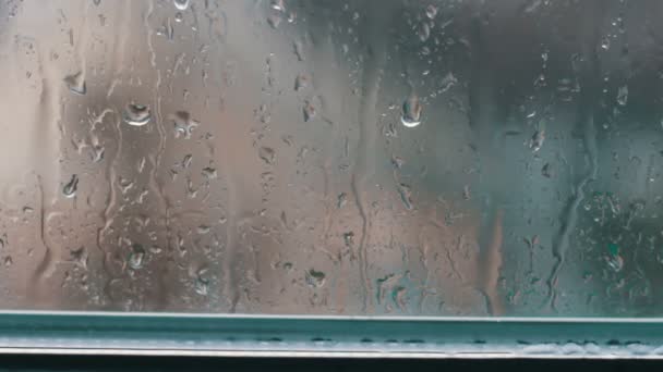 Gotas de lluvia en el vaso en la tarde de primavera — Vídeo de stock
