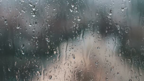 Die Regentropfen auf die Fenster der Haushalte. — Stockvideo