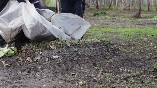 Frau und Kind säubern die trockenen alten Blätter im Garten — Stockvideo