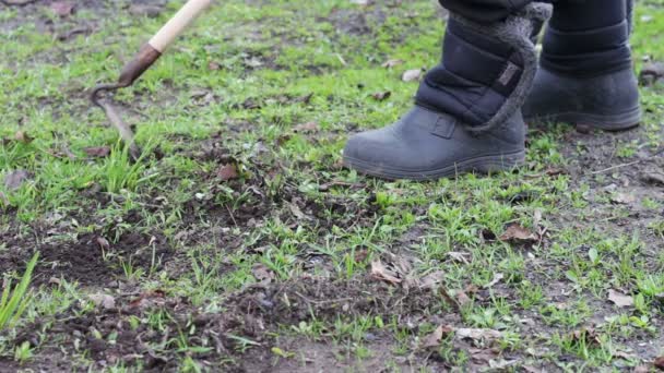 Женщина работает в саду, убирает траву с земли мотыгой. — стоковое видео