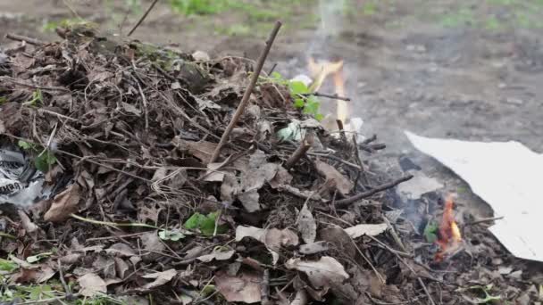 Verbrennung trockener Blätter mit Rauch. Umweltverschmutzung — Stockvideo