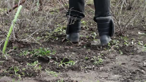 一个女人在花园里从地面用拖把的锄头去除草工程 — 图库视频影像