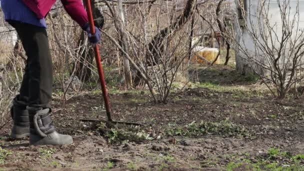 Kvinna och ett barn rengör de torra gamla löv i trädgården — Stockvideo