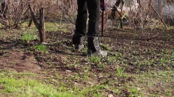 Vrouw reinigt de tuin vanaf vorig jaar droge bladeren met hark — Stockvideo