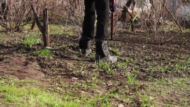 Mujer limpia el jardín de los últimos años hojas secas con rastrillo — Vídeo de stock