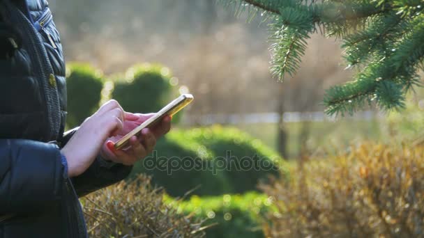 Женские руки используют смартфон и просматривают лицо книги сайта социальной сети, набирая сообщение — стоковое видео