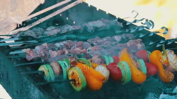 Barbecue de poisson, viande et légumes rôtis sur le gril. Street Food, Fast Food, Snack dans la rue, savoureux, délicieux — Video