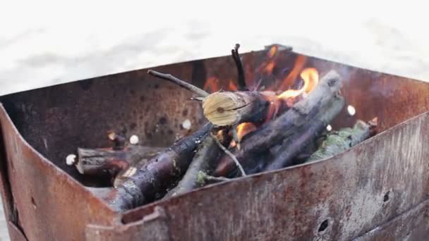 Сухі гілки старого дерева горять у грилі — стокове відео