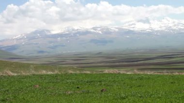 Genç sulu karla kaplı tepeler, muhteşem dağ yatay zemin karşı rüzgarda yaz aylarında diktim bir çayır çimlere yeşil