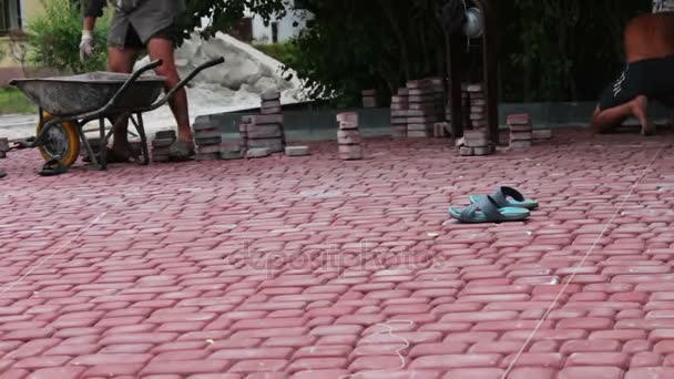 Male workers lay paving tiles in a childrens park. Men lay a multicolored paving tile in park — Stock Footage Male workers lay paving tiles in a childrens park. Men lay a multicolored paving tile in park Video Clip