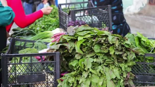 Säljaren i marknaden säljer gröna till köparen. En kvinna köper färska grönsaker på marknaden — Stockvideo