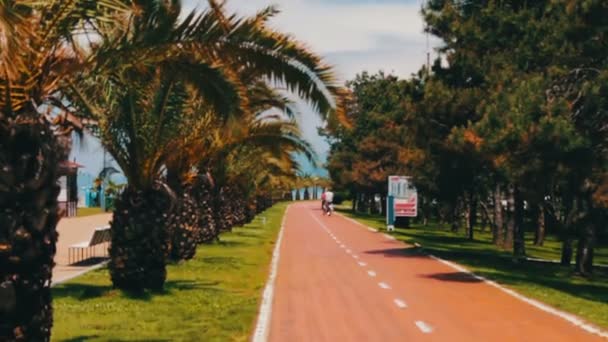 สาขาของต้นปาล์มที่เติบโตบนฝั่งของเมืองจอร์เจีย Batumi เส้นทางจักรยานบนชายฝั่งของเมืองรีสอร์ทที่นักขี่จักรยานขี่ — วีดีโอสต็อก