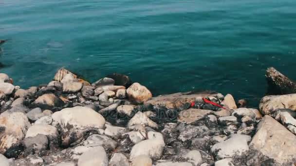 Вид загрязненного Каспийского моря. Мусор и мусор на песке морского побережья на морском фоне. Экологические проблемы на пляже — стоковое видео
