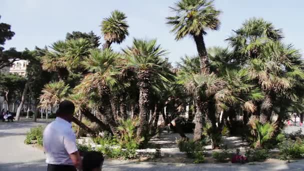 9 DE MAYO DE 2017, BAKU, AZERBAIJAN: La gente pasea en la plaza de Bakú, una multitud de personas caminan por las calles de la ciudad.En las calles crecen hermosas palmeras — Vídeos de Stock