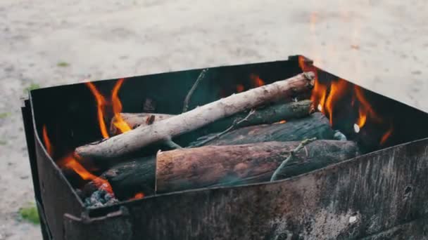 Ramos secos queimam na grelha na natureza — Vídeo de Stock