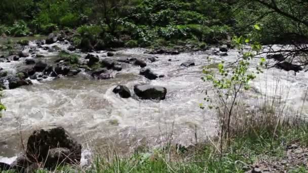 如诗如画的山溪中滚动的山地景观与流水节拍撞在岩石上 — 图库视频影像