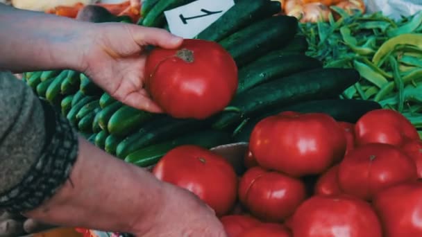 美味的新鲜洋葱青椒和其他蔬菜的价格标签是市场柜台上 — 图库视频影像