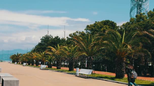 17. května, Batumi, Gruzie: Nábřeží resort města Batumi, na kterém palmy rostou, chodí lidi a cyklisty na cyklotrasách — Stock video