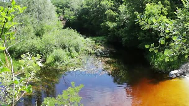 Refleksje o gałęzie drzew i liści na powierzchni wody rzeki. — Wideo stockowe