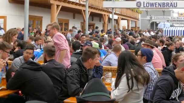 17 de setembro de 2017 - Oktoberfest, Munique, Alemanha: pessoas descansando, rindo se divertindo e sentando bebendo cerveja de enormes canecas de vidro em Theresienwiese, na Baviera, no Festival Mundial de Cerveja — Vídeo de Stock