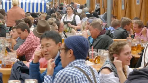 Le 17 septembre 2017 - Oktoberfest, Munich, Allemagne : Beaucoup de gens sont assis dans un jardin d'oiseaux à boire de la bière provenant de tasses à bière communiquent et s'amusent — Video