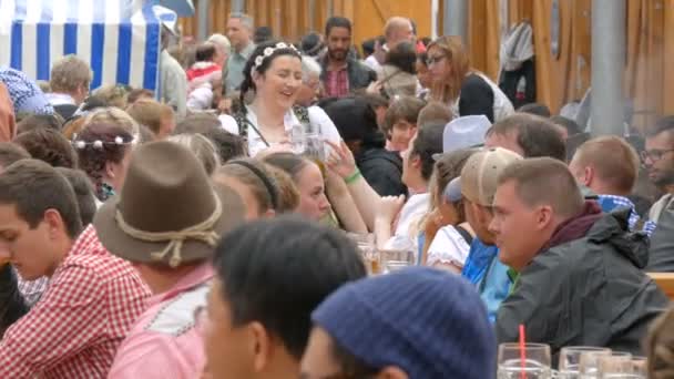 17 сентября 2017 - Октоберфест, Мюнхен, Германия: Много людей сидят в биргартене и пьют пиво из кружек пива общаются и веселятся — стоковое видео