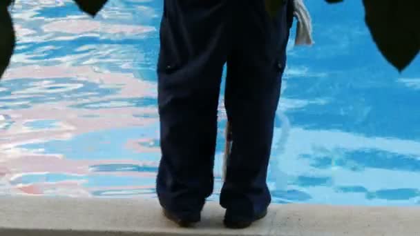 Hombre en forma de trabajo para limpiar el fondo de una piscina azul — Vídeos de Stock