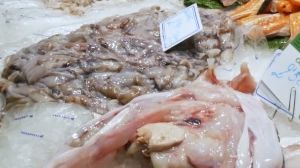 Theke mit frischen verschiedenen Fischmuscheln Garnelen Krebstiere auf Eis der Fischmarkt von la Boqueria — Stockvideo