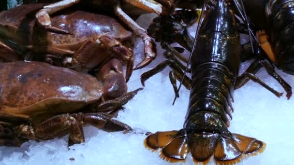 Hidangan laut yang menggerakkan udang lobster dan kepiting besar di pasar kontra, Makanan laut di pasar La Boqueria di Barcelona — Stok Video