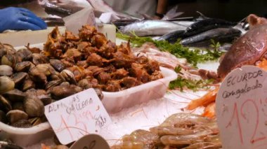 Deniz Ürünleri ıstakoz kalamar karides kerevit istiridye Midye kabukları balık pazarında La Boqueria İspanya, Barcelona kasık biti.